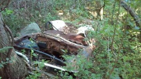 Relic in 'The Glen' - Abandoned-Wheels4.jpg