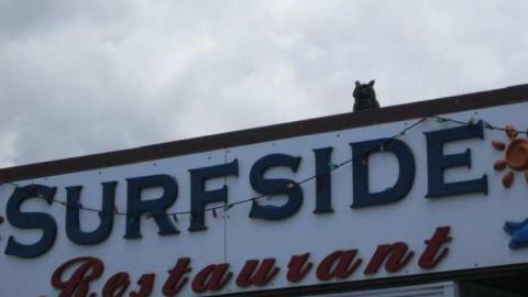 Surfside Restaurant - 059.jpg