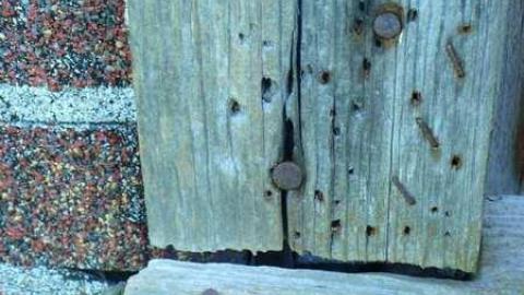 Fairground Flophouse photo 5