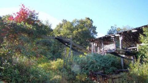 I Saw The Light - Saw-Lake-Saw-Mill80.jpg