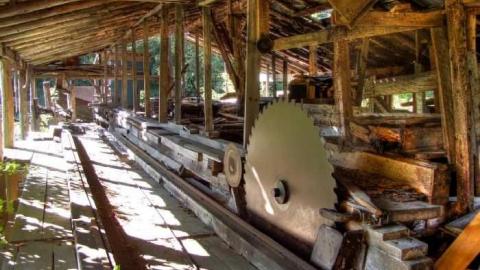 I Saw The Light - Saw-Lake-Saw-Mill5.jpg