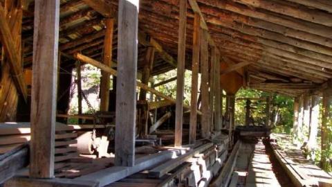 I Saw The Light - Saw-Lake-Saw-Mill17.jpg