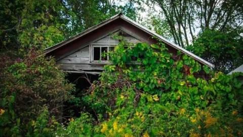 Photo from Miller Rd Remains