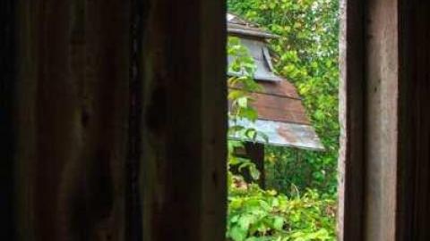 Miller Rd Remains - Miller 3.jpg