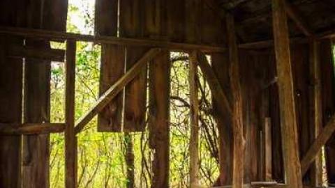 Miller Rd Remains - Miller 4.jpg