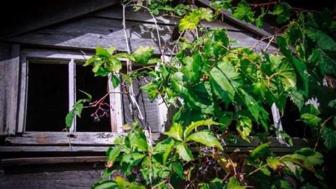 Miller Rd Remains - Miller 5.jpg