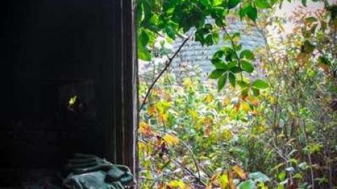 Miller Rd Remains - Miller 8.jpg