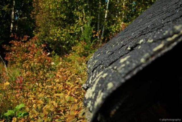 Hwy 534 Sheep Barn photo 4