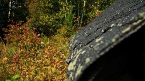 Hwy 534 Sheep Barn photo 4