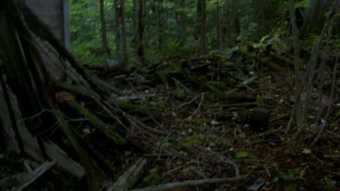 Gallery - Kennaway-(ghost-town)4.jpg