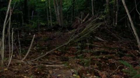 Gallery - Kennaway-(ghost-town)10.jpg