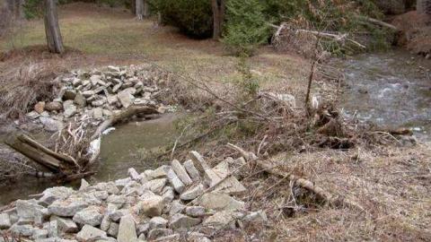 Gallery - Elim-Pioneer-Cemetery5.jpg