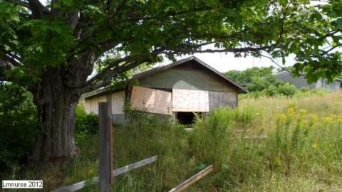 May 2012 - Lavender-Camp11.jpg