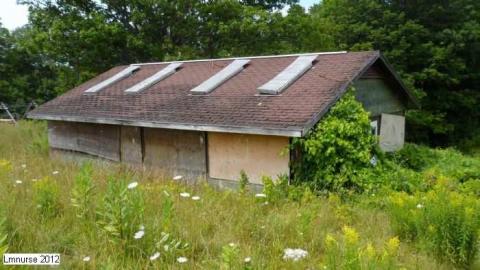 May 2012 - Lavender-Camp12.jpg