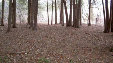 Gallery - Elim-Pioneer-Cemetery7.jpg