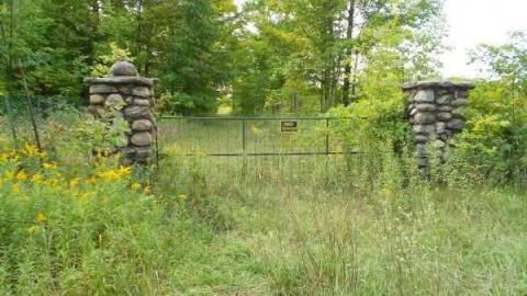 Photo from Beauty and Bliss