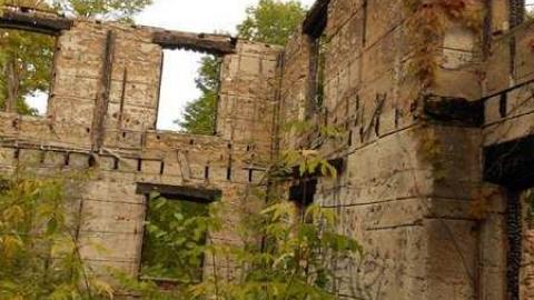 Photo from Beauty and Bliss