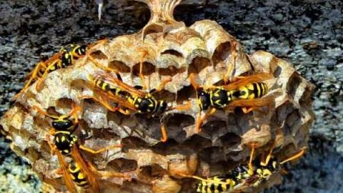 All Together Now - Constance-Pioneer-Cemetery10.jpg