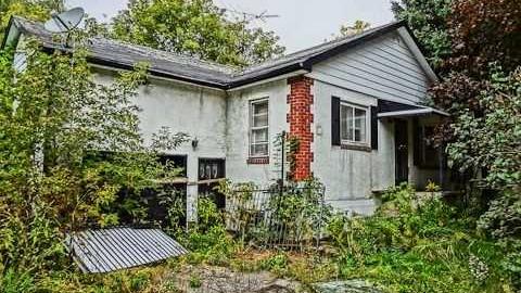 poop and filth - Madison-Ave.-cat-house11.jpg