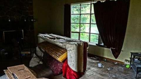 poop and filth - Madison-Ave.-cat-house12.jpg