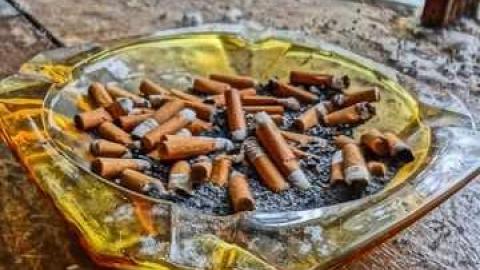 poop and filth - Madison-Ave.-cat-house19.jpg