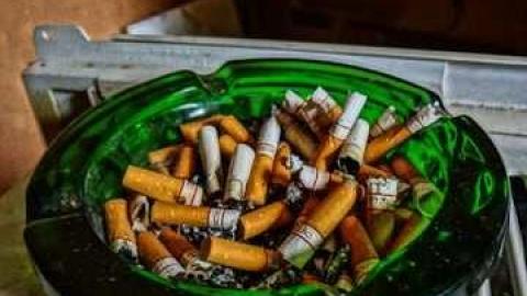 poop and filth - Madison-Ave.-cat-house13.jpg