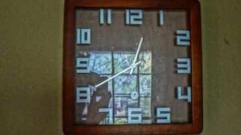 poop and filth - Madison-Ave.-cat-house20.jpg