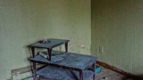 poop and filth - Madison-Ave.-cat-house17.jpg