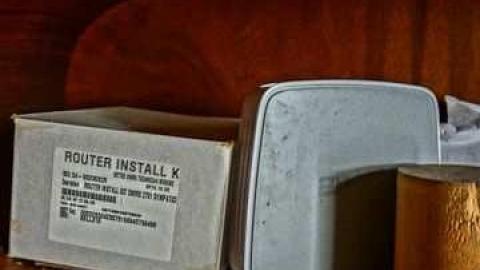 poop and filth - Madison-Ave.-cat-house22.jpg