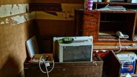 poop and filth - Madison-Ave.-cat-house16.jpg