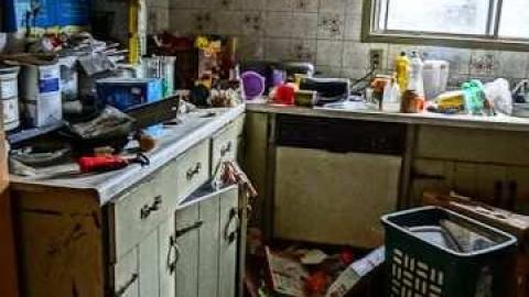 poop and filth - Madison-Ave.-cat-house23.jpg