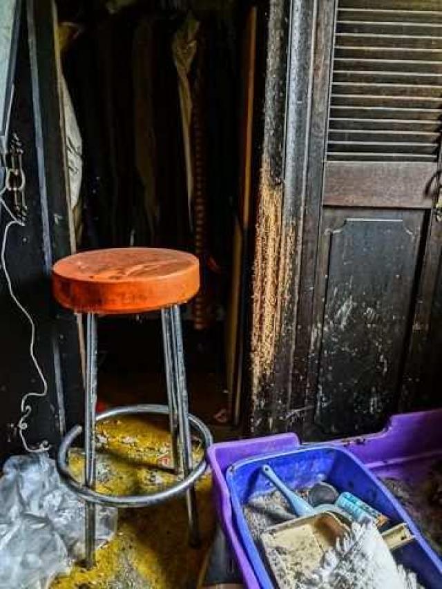 Madison Ave. cat house photo 5