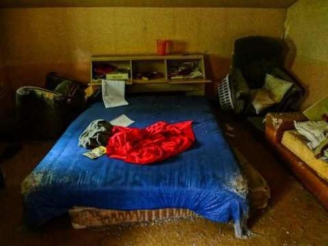 Madison Ave. cat house - Richmond Hill, Ontario