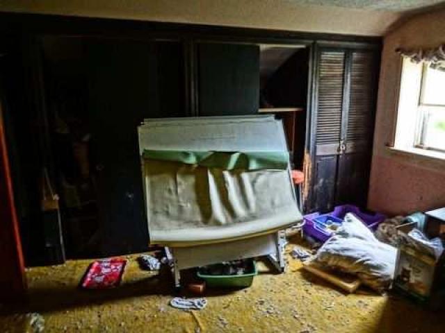 Madison Ave. cat house photo 5