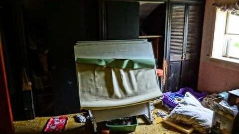 poop and filth - Madison-Ave.-cat-house24.jpg