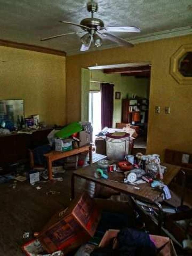 Madison Ave. cat house photo 4