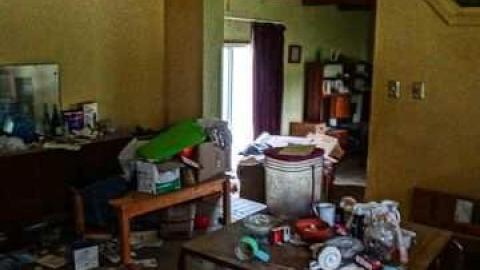 poop and filth - Madison-Ave.-cat-house29.jpg