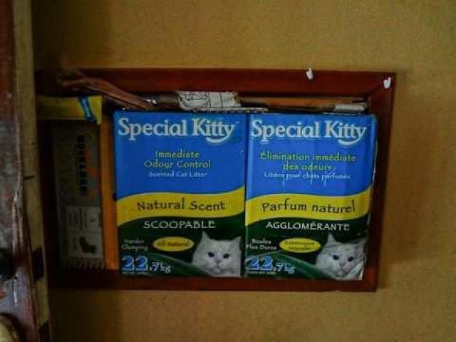 Madison Ave. cat house photo 3