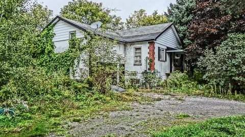 poop and filth - Madison-Ave.-cat-house30.jpg