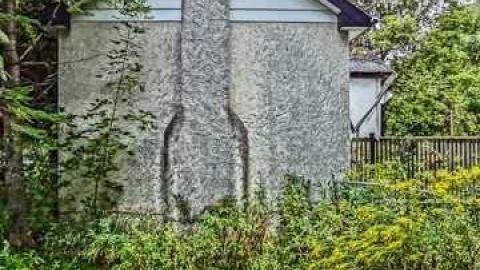 poop and filth - Madison-Ave.-cat-house26.jpg