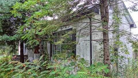 poop and filth - Madison-Ave.-cat-house31.jpg