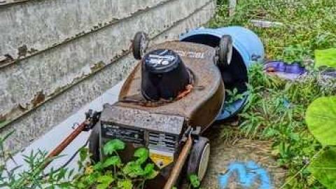 Elvis in the basement!!! - Elvis-on-Lowther42.jpg