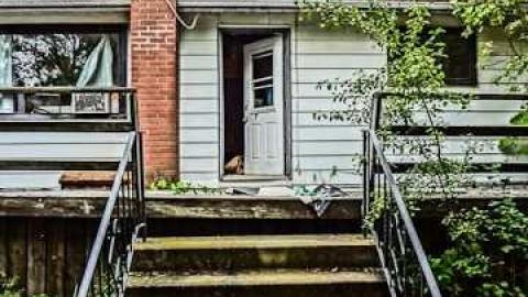 Elvis in the basement!!! - Elvis-on-Lowther26.jpg