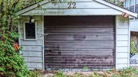 Elvis in the basement!!! - Elvis-on-Lowther43.jpg