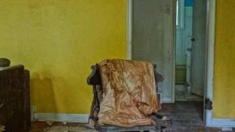 Elvis in the basement!!! - Elvis-on-Lowther27.jpg