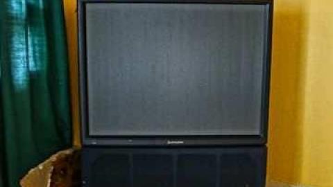 Elvis in the basement!!! - Elvis-on-Lowther44.jpg