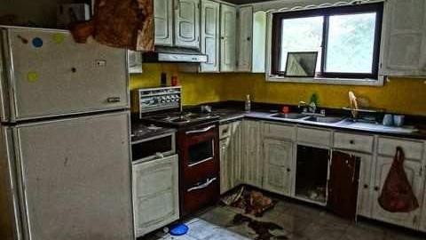 Elvis in the basement!!! - Elvis-on-Lowther1.jpg