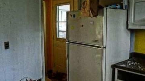 Elvis in the basement!!! - Elvis-on-Lowther29.jpg