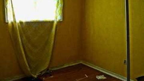 Elvis in the basement!!! - Elvis-on-Lowther30.jpg