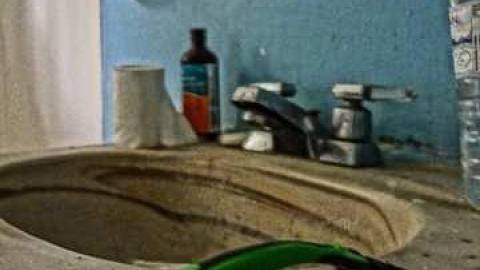 Elvis in the basement!!! - Elvis-on-Lowther31.jpg